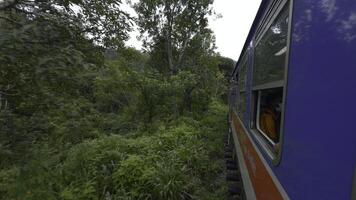 View from window of moving train in jungle. Action. Traveling train in midst of green forest in tropical mountains. Beautiful train ride in tropics on cloudy day photo
