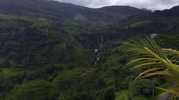 escénico ver de tropical montaña valle. acción. verde selvas tropicales con montañas y ríos hermosa ver de Valle con bosques y montañas en nublado verano clima foto