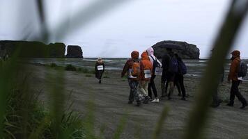 grupo de turistas camina en costa en nublado día. acortar. verde césped en antecedentes de turistas caminando por mar en nublado día. grupo de personas caminando a lo largo costa con rocas foto