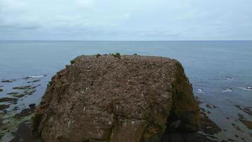 Sea rock with house for seagulls. Clip. Top view of sea cliff with flying gulls on background of sea horizon. Cinematic view with rock and seagulls in sea photo