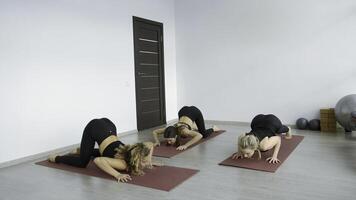 Yoga class with trainer in studio. Media. Beginner is engaged in yoga studio with professionals. Yoga classes for beauty and health photo