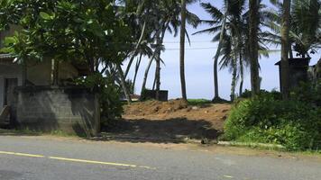 Road trip on south island with palm trees. Action. Beautiful landscape of coast with palm trees from riding bike. View from car of houses and palm trees of south coast photo