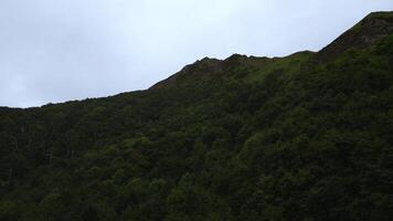 View of green mountains with forest. Clip. Top view of mountain slope with green dense forest. Amazing nature of mountains with green forest slopes on cloudy day photo