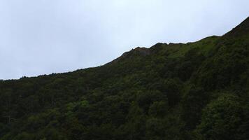 View of green mountains with forest. Clip. Top view of mountain slope with green dense forest. Amazing nature of mountains with green forest slopes on cloudy day photo