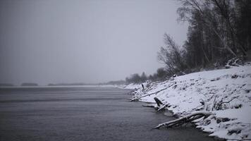 hermosa invierno mar apuntalar con nieve. acortar. playa con palos y arboles en Nevado invierno día. hermosa cubierto de nieve lago apuntalar en nublado día foto