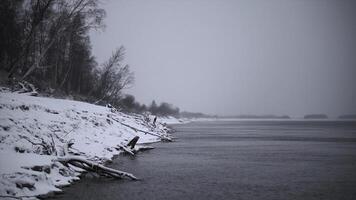 Beautiful winter sea shore with snow. Clip. Beach with sticks and trees on snowy winter day. Beautiful snow-covered lake shore on cloudy day photo