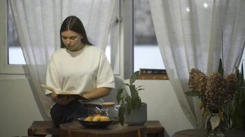 Young female student reads book in cafe. Media. Beautiful young woman comfortably spending time reading book in cafe. Cozy winter day in cafe with book and tea photo