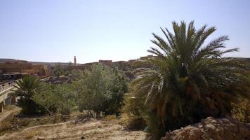 Tinghir area with southern flora under the hot shining sun. Action. Green palm trees and low buildings. photo