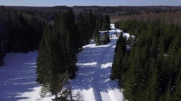 Sunny day in winter forest. Clip. Aerial view of a long road on snow covered ground among green trees. photo