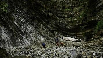 Mother with boys on stone river and jungles on the background. Creative. Exploring natural beautiful places. photo