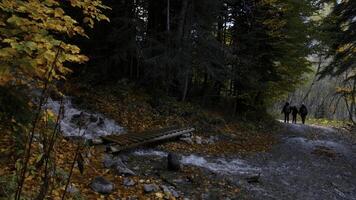 Beautiful stream in the mountains, rocks overgrown with moss, colorful leaves. Creative. Hikers walking in autumn forest. photo