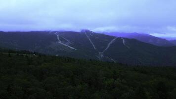 zumbido volador terminado un grande bosque durante el verano día. acortar. interminable verde boscoso valle. foto