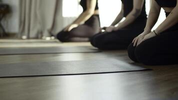 Three beautiful slim women spreading out yoga mats before training in studio. Media. Girls having group training. photo