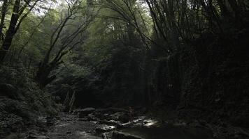 caminantes madre y chico en pie en selvas cerca frío arroyo. creativo. lozano verde bosque y río. foto