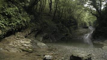 montaña fluido Arroyo arroyo. creativo. pedregoso camino y fluido río. foto