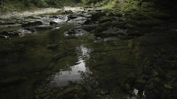 montaña fluido Arroyo arroyo. creativo. pedregoso camino y fluido río. foto