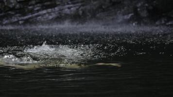 mujer nadando en Fresco agua, tropical piscina con cascada. creativo. verano pequeño lago en selvas. foto