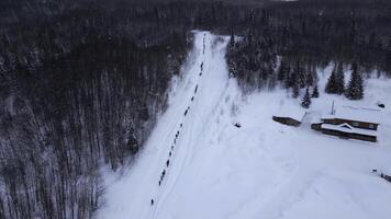 Aerial view of long line of people walking into winter forest. Clip. Exploring frozen winter nature, concept of adventure. photo