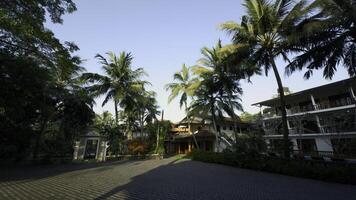 Beautiful villa against blue cloudy sky. Action. Palm trees and green grass. photo