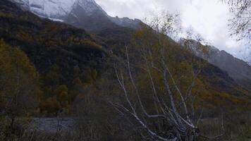 Rocky cliff landscape overgrown by trees in Mongolia on a foggy day. Creative. Autumn mountains and snowy peaks. photo