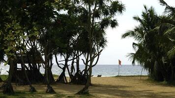 Palm sandy beach and tropical seascape on a sunny day. Action. Summer paradise beach background. photo