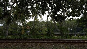 Railway tracks in forest, side view. Action. Countryside landscape and rail road. photo