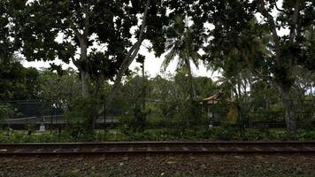 Railway tracks in forest, side view. Action. Countryside landscape and rail road. photo