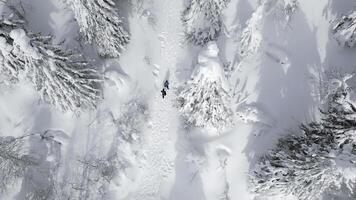 Aerial top view of people hiking on winters trail. Clip. Rural road covered by snow, landscape of winter nature. photo