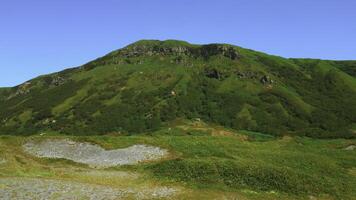 Lush green hills with fresh grass and forest. Clip. Blue summer sky and green mountains. photo