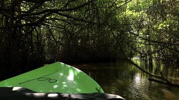 Boat trip on tropical river among tangled tree branches. Action. Beautiful hiking trip along river in tropical jungle. photo