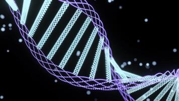 Animation of spinning dna structure, green and purple digital waves against black background. photo