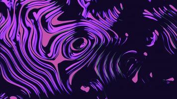 Abstract wavy purple or pink color background. Design. Glowing oval shapes and lines. photo
