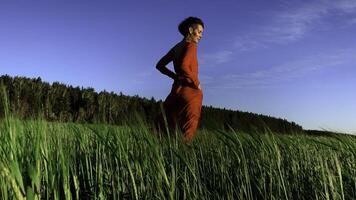 retrato de un atractivo mujer en rojo vestir en un campo de Fresco verde trigo. valores acortar. herbario antecedentes. increíble naturaleza, tierras de cultivo, creciente cereales. foto