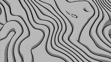 Abstract monochrome curves background. Design. Flowing and transforming shapes. photo