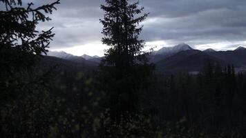 Green trees in forest with fog and mountains. Clip. Autumn cold landscape with forested valley. photo