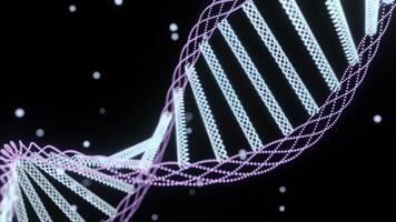 Animation of spinning dna structure, green and purple digital waves against black background. photo