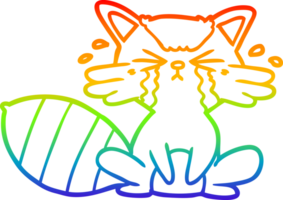 arcobaleno pendenza linea disegno di un' cartone animato procione pianto png