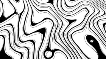 Abstract monochrome curves background. Design. Flowing and transforming shapes. video