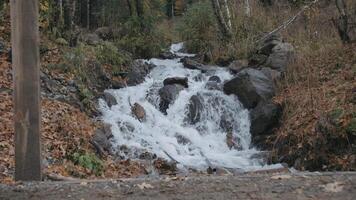 Wasserfall fließt Über das Felsen zu das Fluss. kreativ. Mann Wanderer Gehen im Vorderseite von kalt bergig Strom im Herbst Wald. video