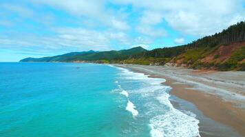 superiore Visualizza di bellissimo costa con turchese acqua. clip. sorprendente costa paesaggio con turchese acqua e verde foresta. Paradiso posto su costa di mare con foresta montagne video