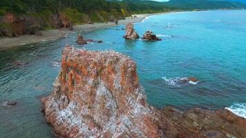 Top view of cliff with flock of seagulls. Clip. Wild coast with marine fauna on rocks in sea. Flocks of seagulls on sea rocks off coast of wild island video