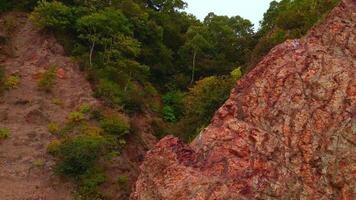 Haut vue de rocheux crête avec forêt gorge. agrafe. incroyable la nature avec rocheux pistes de vert gorge. cinématique rochers avec vert des arbres dans gorge video