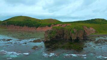 superiore Visualizza di roccioso costa con alghe su costa. clip. paesaggio di rocce su costa con alghe su sfondo di montagne nel nuvoloso tempo atmosferico. diversità di flora di mare costa con roccioso montagne video