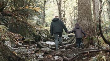 Hikers mother and child hiking up the extreme hill covered with tree roots at fall. Creative. Walking along the tall forest trees. video