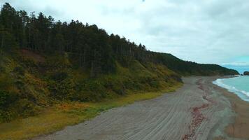 top visie van mooi kust met dicht Woud. klem. kustlijn van zee Aan kam van dicht groen Woud naar horizon. kust van eiland met dicht groen Woud en bergen video