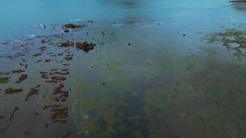 Northern reef coast of sea with mountains. Clip. Top view of reef seascape with mountain views on cloudy day. Cinematic view of coast with mountains on horizon video