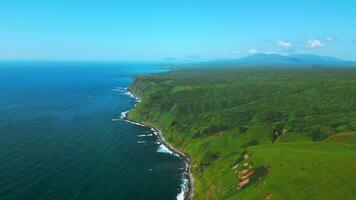 Green fields, meadows, summer blue sky and calm sea. Clip. Picturesque countryside marine landscape with green forested cliffs. video