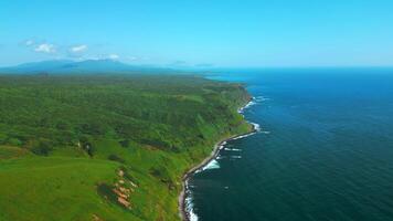 Green fields, meadows, summer blue sky and calm sea. Clip. Picturesque countryside marine landscape with green forested cliffs. video