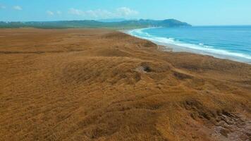 Aerial of autumn yellow grass and the blue sea coast. Clip. Withered field, cloudy sky above and wavy shore. video