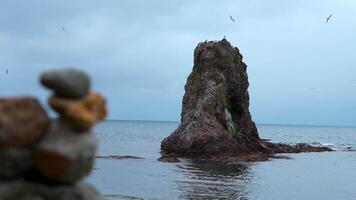 Steine auf Ufer gegen Hintergrund von Cliff im Meer. Clip. gestapelt Steine auf Felsen Hintergrund mit fliegend Möwen im wolkig Wetter. Türme von Steine auf Ufer beim Meer Cliff mit Möwen video